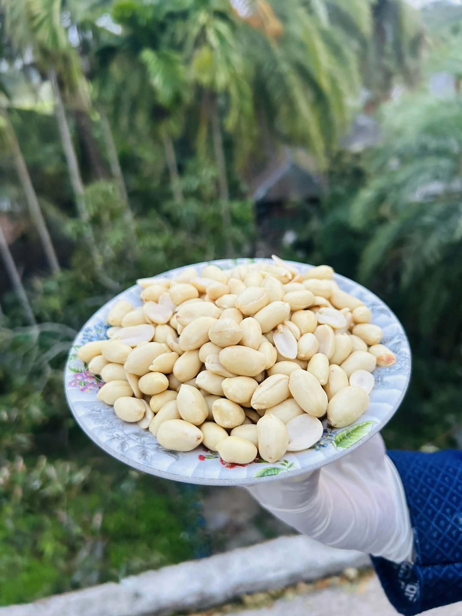 থাই চিনাবাদাম (জাম্বু সাইজ) ২কেজি